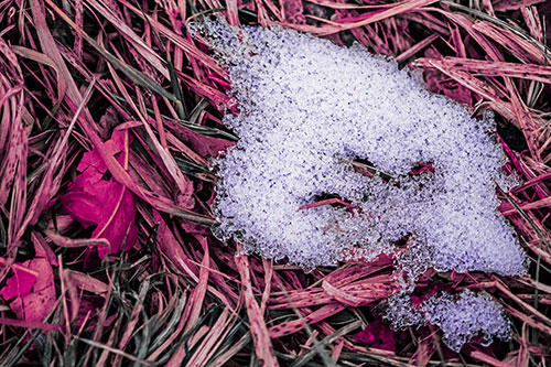 Miserable Slanted Grass Eyed Snow Face (Purple Tint)