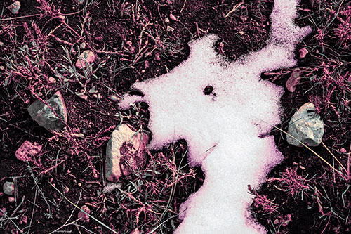 Peering Humanoid Snow Face Creature Among Rocks (Purple Tint Photo)
