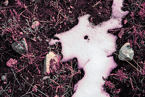 Peering Humanoid Snow Face Creature Among Rocks (Purple Tint)