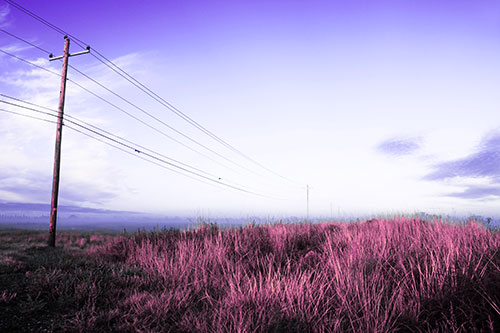 Powerlines Descend Among Foggy Prairie (Purple Tint Photo)