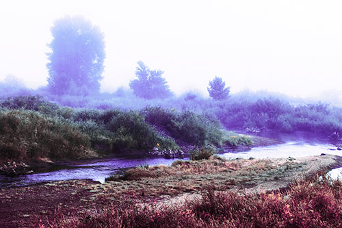 River Flowing Along Foggy Vegetation (Purple Tint Photo)