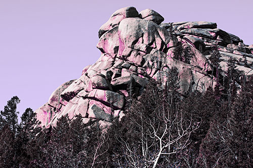 Rock Formations Rising Above Treeline (Purple Tint Photo)