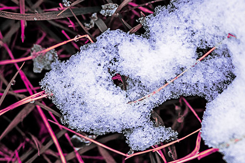 Sad Melting Grass Tangled Snow Face (Purple Tint)