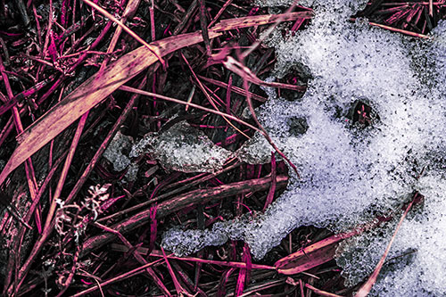 Sad Mouth Melting Ice Face Creature Among Soggy Grass (Purple Tint Photo)