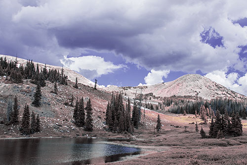 Scattered Trees Along Mountainside (Purple Tint Photo)