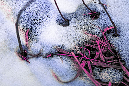 Screaming Twisted Grass Face Piercing Through Snow (Purple Tint)