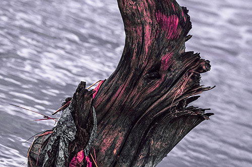 Seasick Faced Tree Log Among Flowing River (Purple Tint Photo)