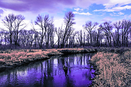 Shadow Casting Trees Along Riverbend (Purple Tint)