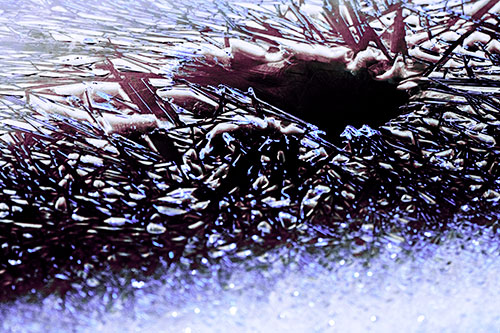 Shattered Ice Crystals Surround Water Hole (Purple Tint Photo)