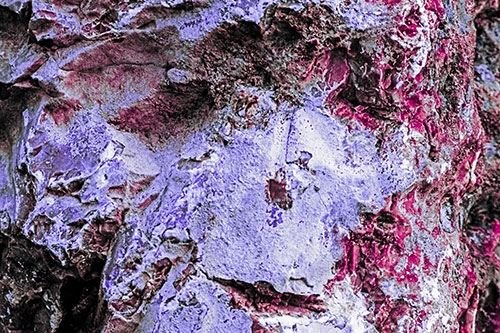 Shut Eyed Rock Face Decomposing (Purple Tint)