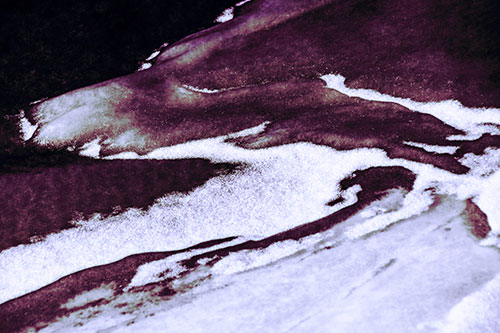 Sleeping Polar Bear Ice Formation (Purple Tint Photo)