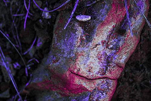 Smirking Battered Rock Face (Purple Tint Photo)