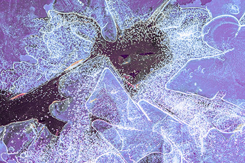 Smug Ice Face Among Frozen River Water (Purple Tint)