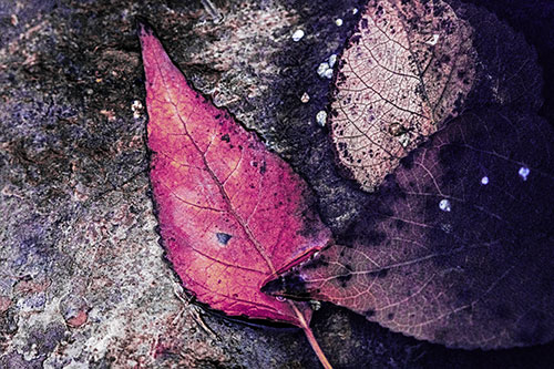 Soggy Cannibal Leaf Face Chewing Another Leaf (Purple Tint)