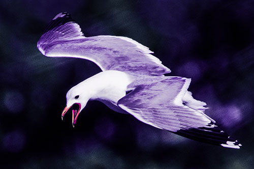 Squealing Seagull Spots Creature Among Lake Below (Purple Tint)