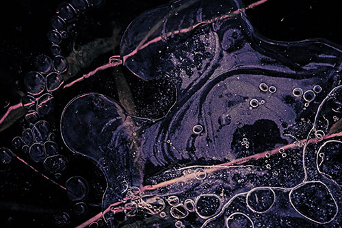 Terrified Screaming Ice Bubble Face Imprisoned Among Sticks (Purple Tint)