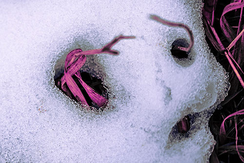 Twisting Grass Eyed Snow Face (Purple Tint Photo)