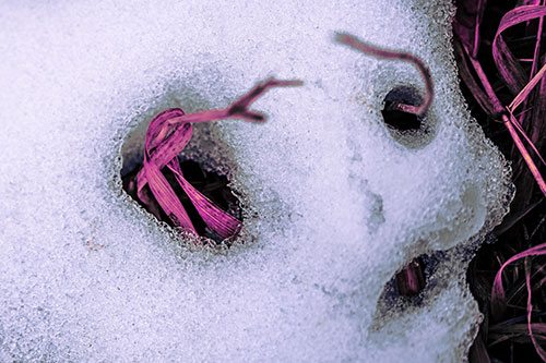 Twisting Grass Eyed Snow Face (Purple Tint)