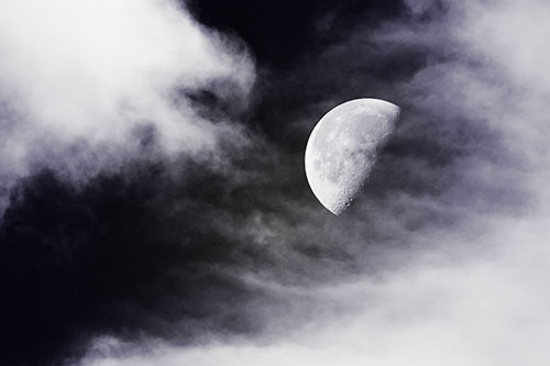 Upside Down Creature Cloud Moon Gazing (Purple Tint Photo)