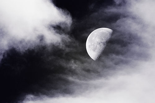 Upside Down Creature Cloud Moon Gazing (Purple Tint)