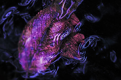 Water Ripple Faced Leaf In Submerged Trance (Purple Tint)