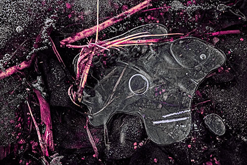 Wide Eyed Bubble Ice Face Looking Downward (Purple Tint)