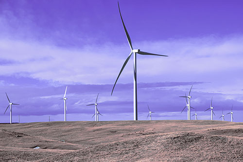 Wind Turbine Cluster Scattered Across Land (Purple Tint Photo)
