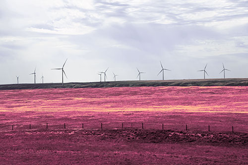 Wind Turbines Scattered Along Prairie Horizon (Purple Tint)