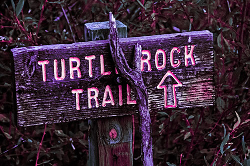 Wooden Turtle Rock Trail Sign (Purple Tint Photo)