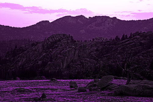 Arching Mountain Double Sunrise (Purple Tone Photo)