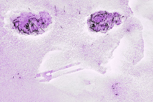 Beak Mouthed Footprint Face Among Snow (Purple Tone)
