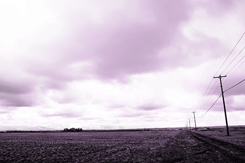 Bleak Clouded Sky Consumes Powerline Prairie (Purple Tone Photo)
