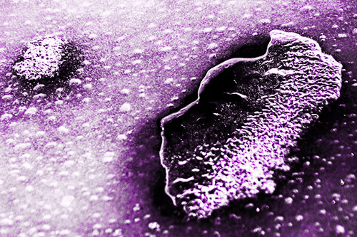 Bubble Head Face Peeking Through Ice (Purple Tone Photo)