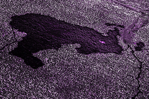 Bunny Rabbit Pavement Puddle Figure Formation (Purple Tone)