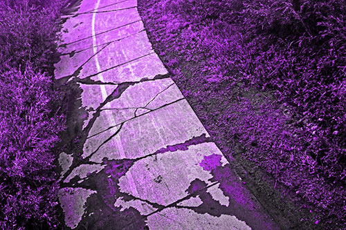 Curving Muddy Concrete Cracked Sidewalk (Purple Tone Photo)