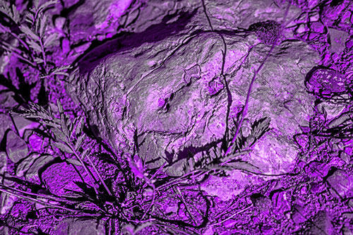 Demonic Leaf Mouthed Rock Face Snarling Among Dirt (Purple Tone)