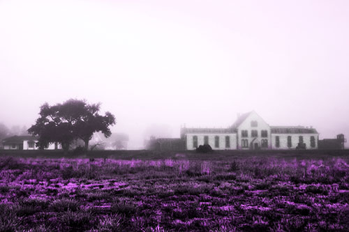 Departing Fog Reveals State Penitentiary (Purple Tone Photo)