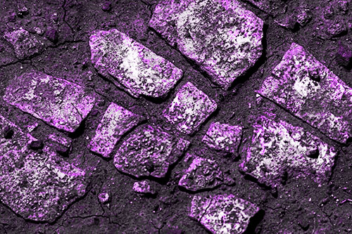 Dirt Covered Stepping Stones (Purple Tone Photo)