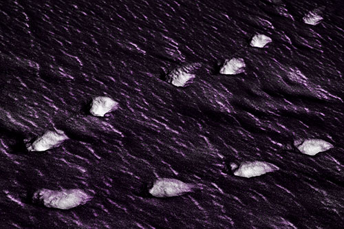 Distancing Snow Footprints (Purple Tone)