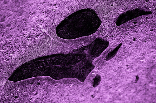 Distorted Skull Face Within Frozen Ice (Purple Tone Photo)
