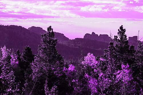 Fall Colors Emerge Infront Of Mountain Range (Purple Tone Photo)