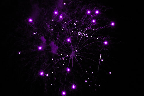 Firework Light Orbs Free Falling After Explosion (Purple Tone Photo)