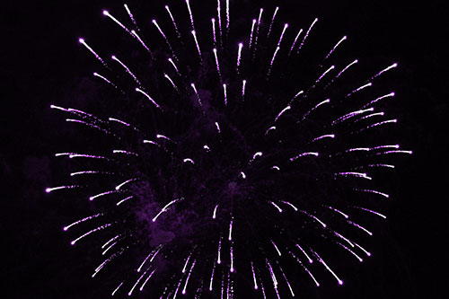 Firework Star Trails Vaporize Among Night Sky (Purple Tone Photo)