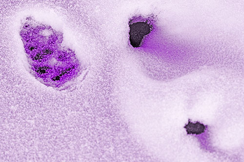 Footprint Eye Snow Face Atop Rock Surface (Purple Tone)