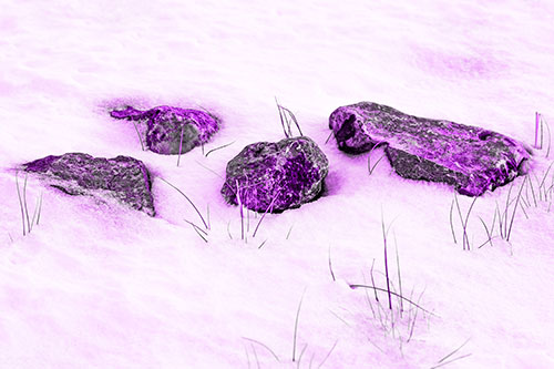 Four Big Rocks Buried In Snow (Purple Tone Photo)