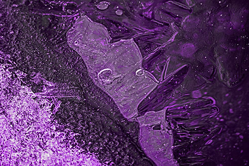 Frozen Bubble Eyed Ice Face Figure Along River Shoreline (Purple Tone)