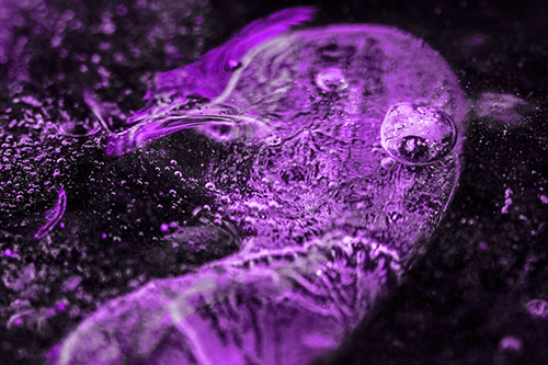Frozen Distorted Bubble Eyed Ice Face (Purple Tone Photo)