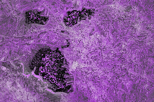 Frozen Ice Screaming Pebble Soil Face (Purple Tone Photo)