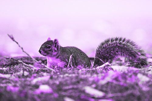 Grass Crouching Squirrel Beyond Broken Tree Branch (Purple Tone Photo)