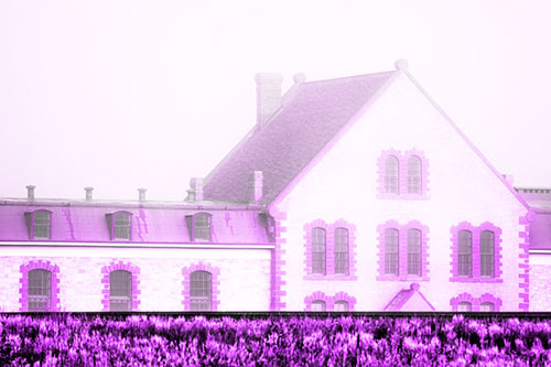Historic State Penitentiary Oozes Among Fog (Purple Tone Photo)